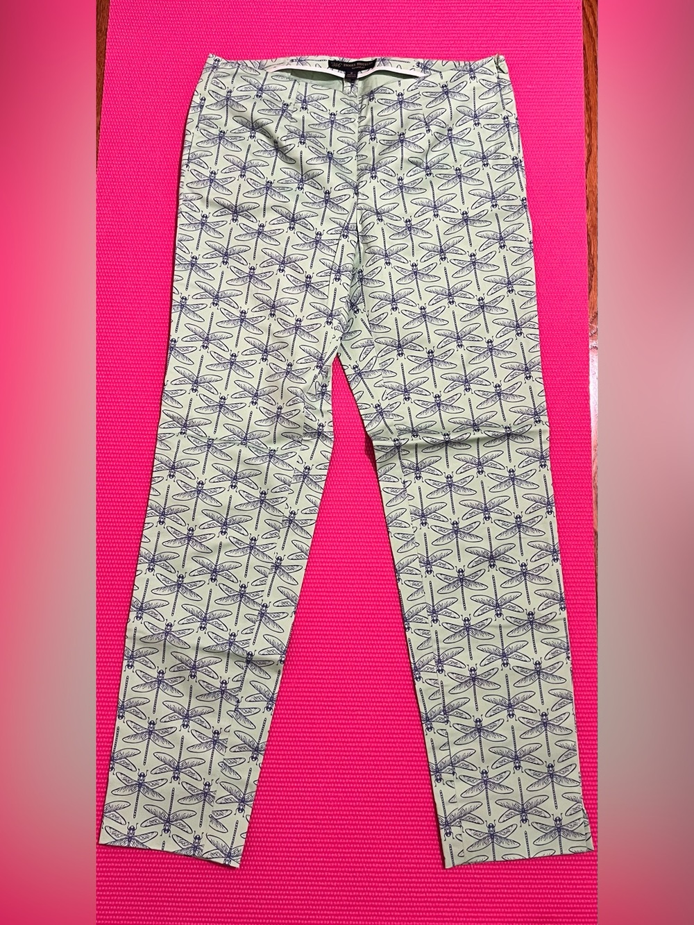 Brooks Brothers Mint Green Dragonfly Print Pants with Navy Detail